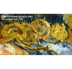 Flotex Vision Pattern 940 (Van Gogh) Sunflowers фото 2 | FLOORDEALER